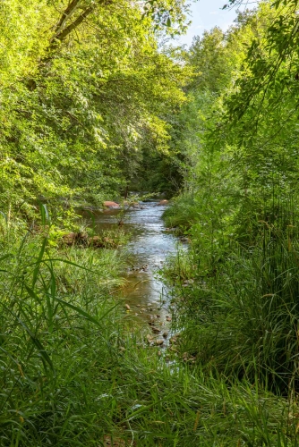 A Creekside View at Creekside Inn Sedona