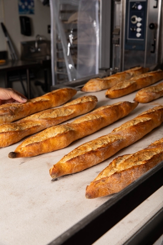 Bread at Barrio Bread 3