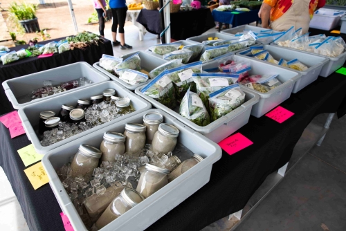 Delicious Drinks at Rhiba Farms Saturday Market