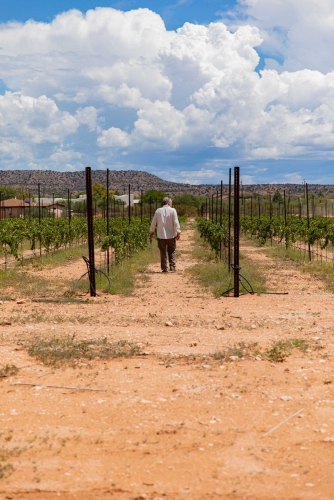 Emil Molin at the Solair Vineyard part of Cove Mesa Vineyards in Cornville AZ 