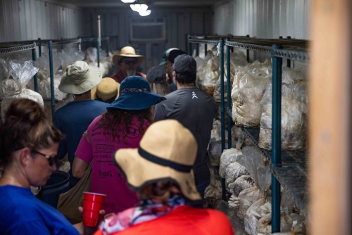 Farm Tour of the Mushroom Room at Rhiba Farms in San Tan Valley