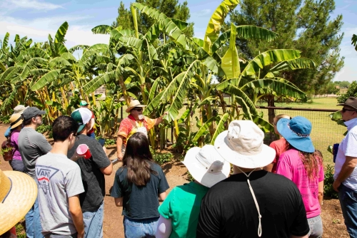 Farm Tours at Rhiba Farms in San Tan Valley