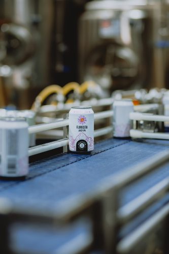 Florecita on canning line at Dragoon Brewing Co.