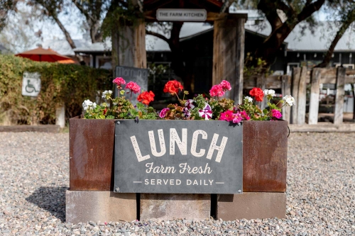 Lunch at the farm