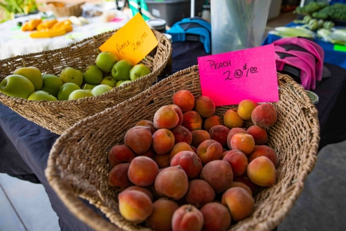 Peachs at Rhiba Farms in San Tan Valley