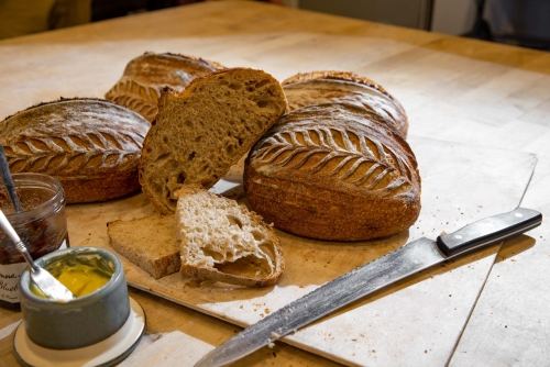 Sourdough Loaves from Proof Bread in Mesa AZ