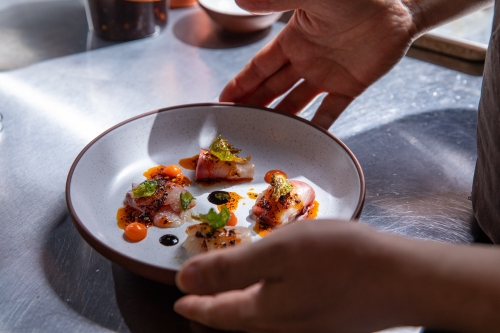 Hamachi Crudo Arboleda at Arboleda in Scottsdale Quarter